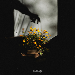 农村少妇迎合着我
