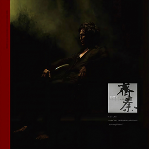 农村少妇迎合着我
